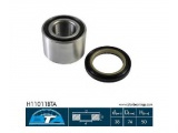 H11011BTA (BTA)