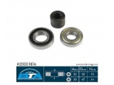 H20001BTA (BTA)