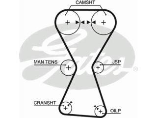 5255XS GATES - Ремень ГРМ - Autoyamato