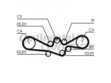CT1050 (CONTITECH)