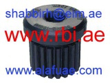 N20241 (RBI)