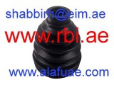 N17K13UZ (RBI)