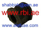 N21P100E (RBI)