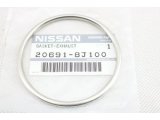 20691-8J100 (NISSAN)