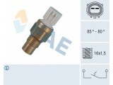 36485 (FAE)