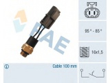 37550 (FAE)