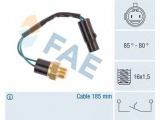 36610 (FAE)