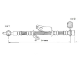 FT0979 (K&K)