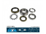 H20310BTA (BTA)