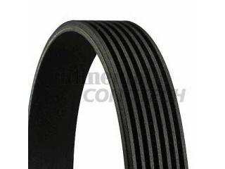 7PK1730 CONTITECH - Ремень приводной - Autoyamato