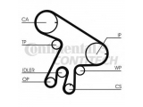 CT1043 (CONTITECH)
