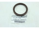 13510-AD200 (NISSAN)