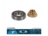 H33000BTA (BTA)