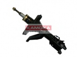 20341075 (KAMOKA)