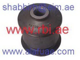 T25ZJ95E3 (RBI)