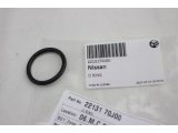 22131-70J00 (NISSAN)
