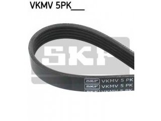 VKMV5PK1646 SKF - Ремень приводной - Autoyamato