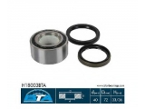 H18003BTA (BTA)