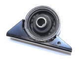 MR198381 (GP)