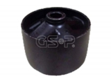 511838 (GSP)