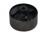 516762 (GSP)