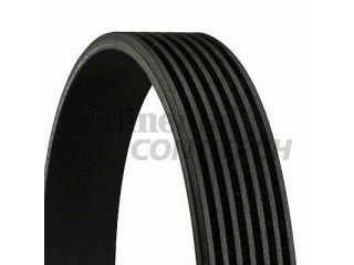 7PK1125 CONTITECH - Ремень приводной - Autoyamato