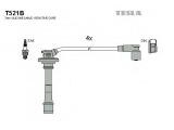 T521B (TESLA)