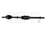 259625 (GSP)