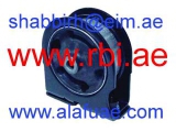 T09RV1FMZ (RBI)
