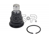 S080825 (GSP)