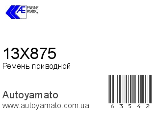 13X875 (AE)
