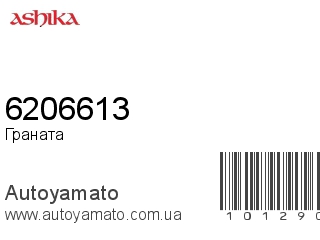 6206613 (ASHIKA)