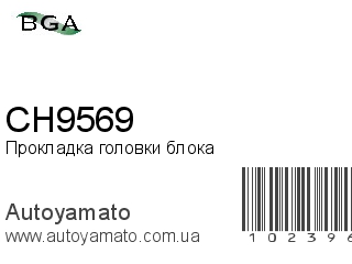 CH9569 (BGA)