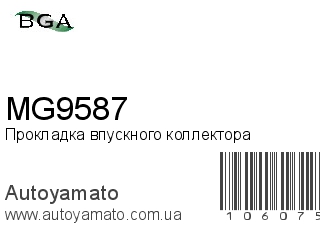 MG9587 (BGA)