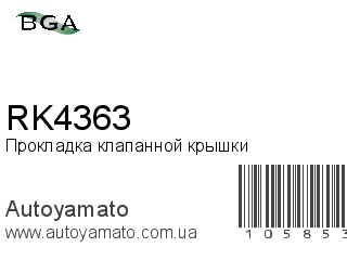 RK4363 (BGA)