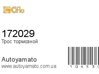 172029 (COFLE)