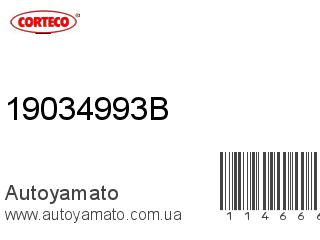19034993B (CORTECO)