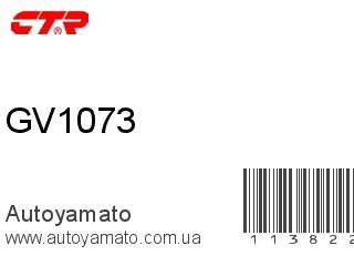 GV1073 (CTR)