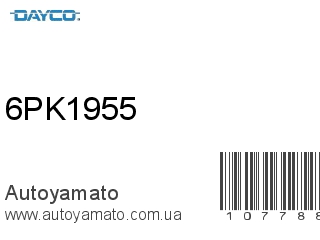 6PK1955 (DAYCO)