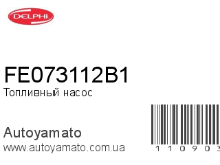 FE073112B1 (DELPHI)