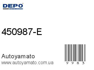 450987-E (DEPO)
