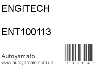 Топливный насос ENT100113 (ENGITECH)