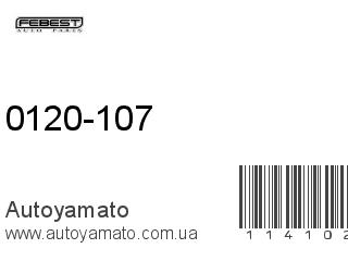 0120-107 (FEBEST)