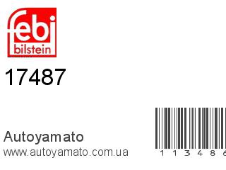 17487 (FEBI)