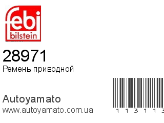 28971 (FEBI)
