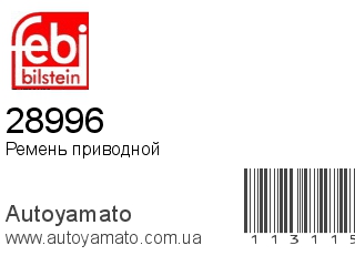 28996 (FEBI)