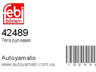 42489 (FEBI)
