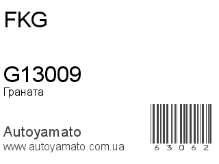 G13009 (FKG)