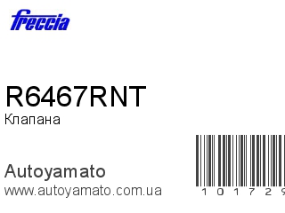 R6467RNT (FRECCIA)