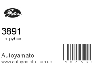 3891 (GATES)